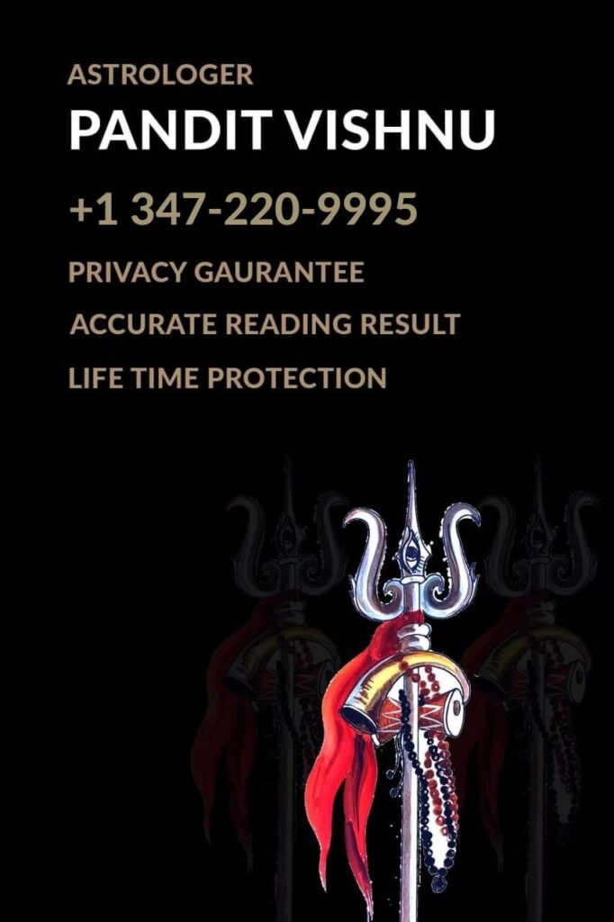 Best Astrologer In USA and Canada Pandit Vishnu