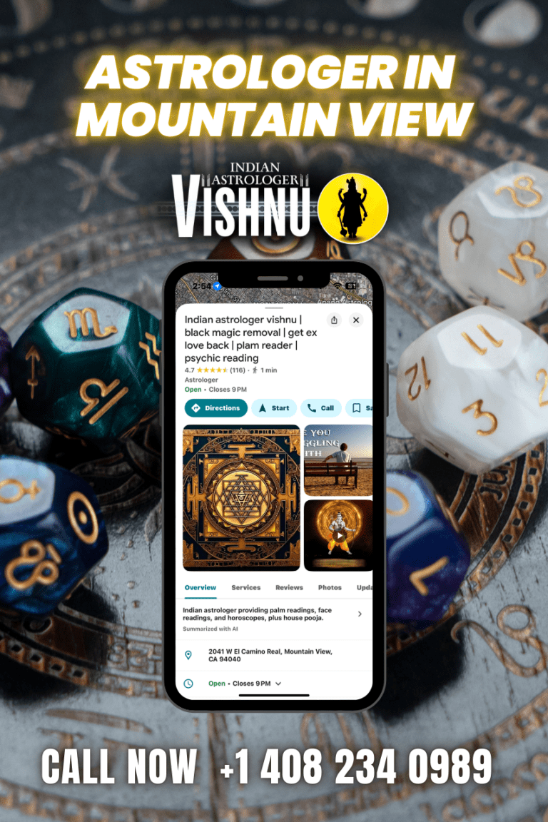 Astrologer in Mountain View