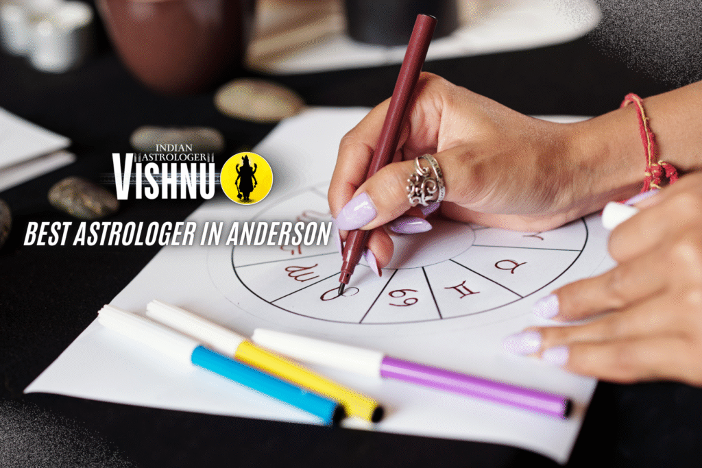 Best astrologer in Anderson